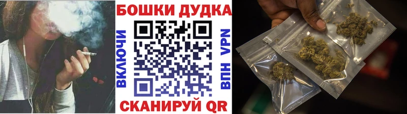 купить Истра Бошки Шишки семена